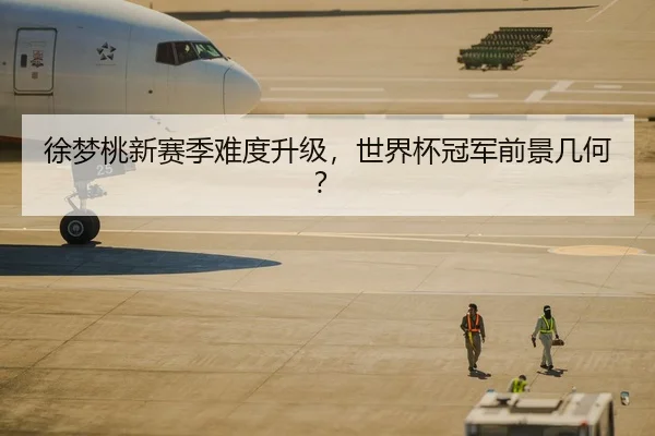 徐梦桃新赛季难度升级，世界杯冠军前景几何？